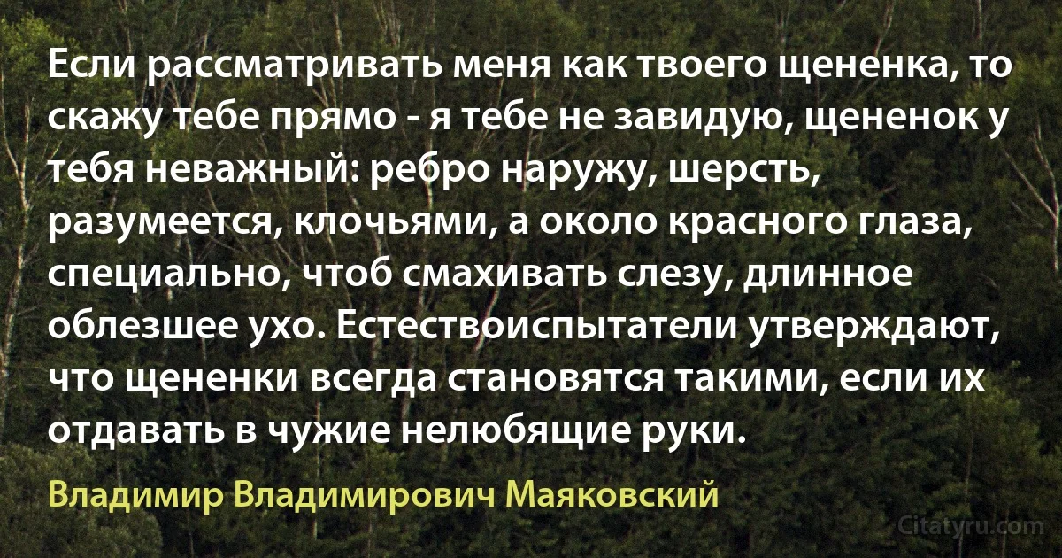 Если рассматривать меня как твоего щененка, то скажу тебе прямо - я тебе не завидую, щененок у тебя неважный: ребро наружу, шерсть, разумеется, клочьями, а около красного глаза, специально, чтоб смахивать слезу, длинное облезшее ухо. Естествоиспытатели утверждают, что щененки всегда становятся такими, если их отдавать в чужие нелюбящие руки. (Владимир Владимирович Маяковский)