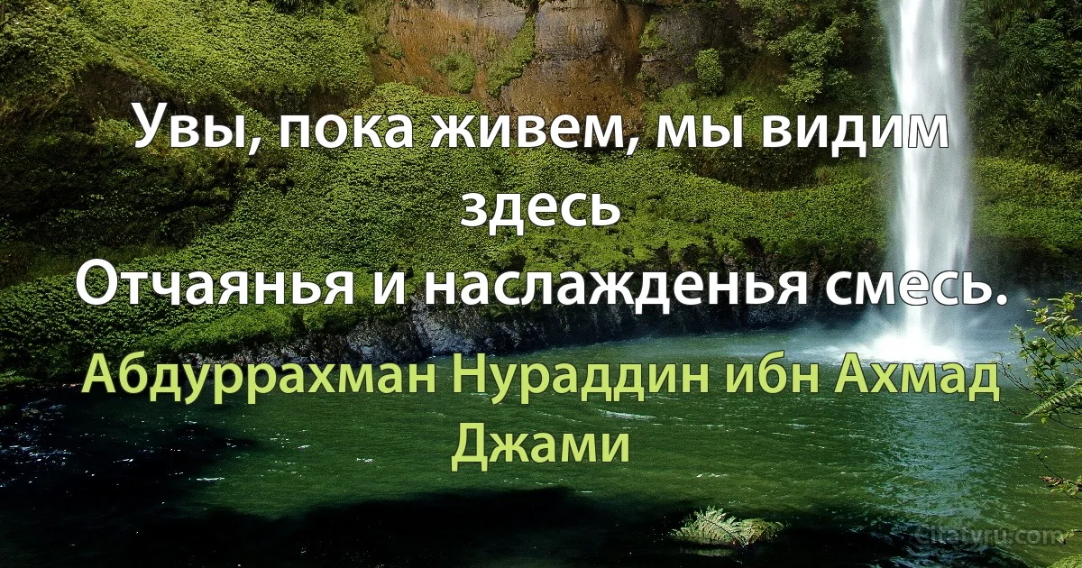 Увы, пока живем, мы видим здесь
Отчаянья и наслажденья смесь. (Абдуррахман Нураддин ибн Ахмад Джами)