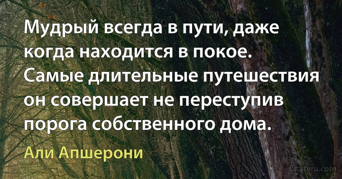 Мудрый всегда в пути, даже когда находится в покое. Самые длительные путешествия он совершает не переступив порога собственного дома. (Али Апшерони)