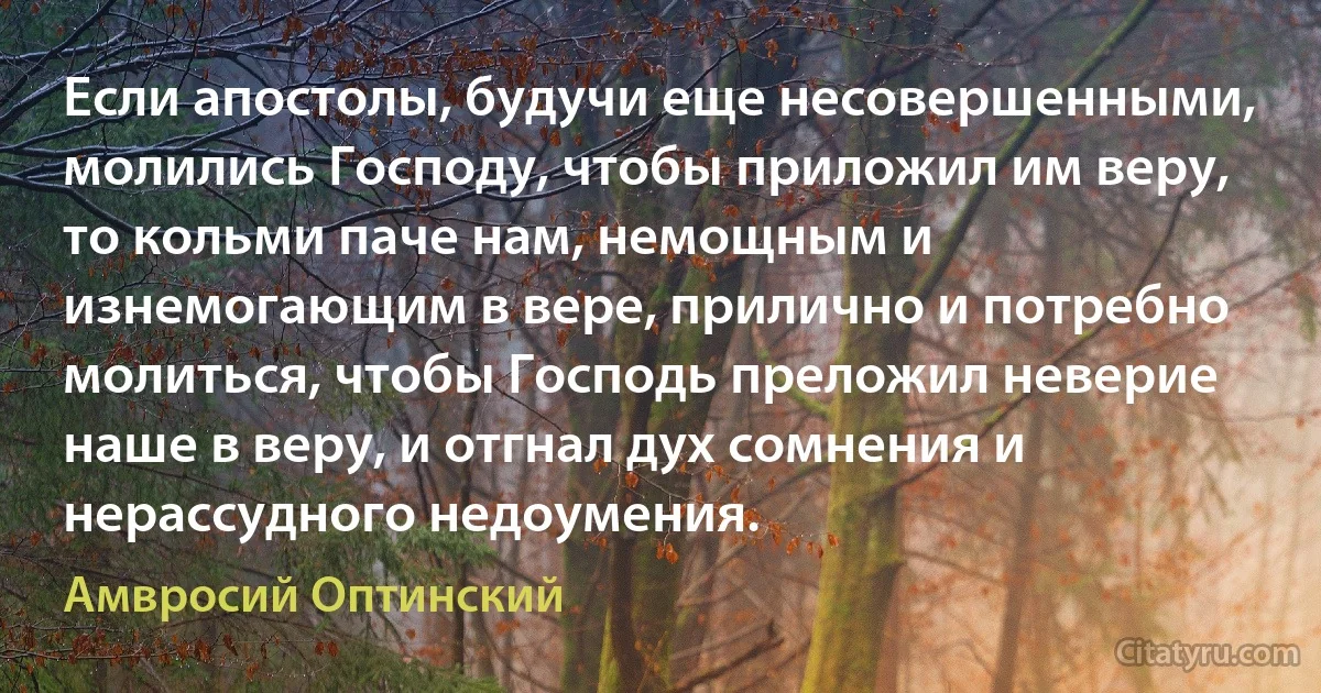 Если апостолы, будучи еще несовершенными, молились Господу, чтобы приложил им веру, то кольми паче нам, немощным и изнемогающим в вере, прилично и потребно молиться, чтобы Господь преложил неверие наше в веру, и отгнал дух сомнения и нерассудного недоумения. (Амвросий Оптинский)