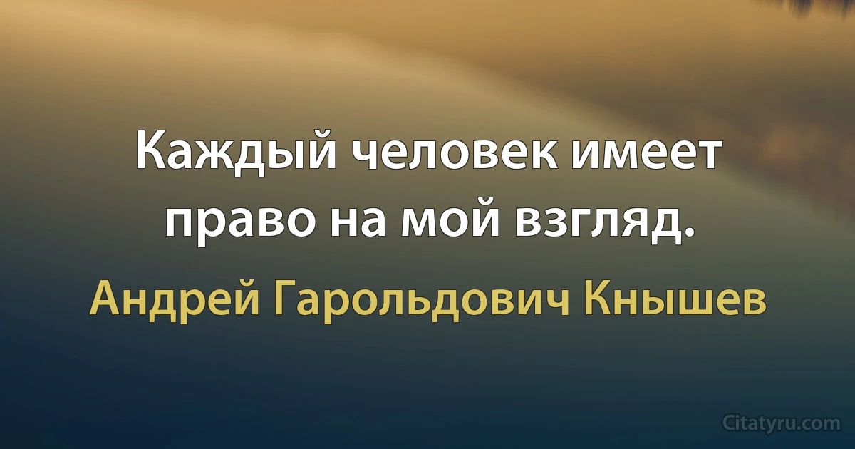 Каждый человек имеет право на мой взгляд. (Андрей Гарольдович Кнышев)