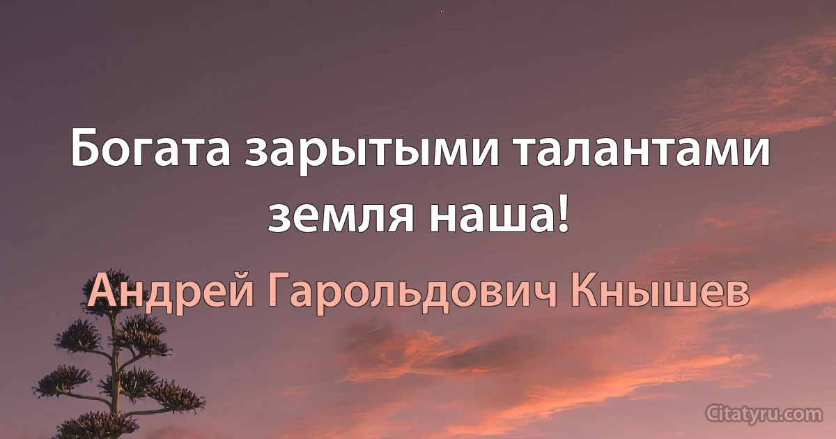 Богата зарытыми талантами земля наша! (Андрей Гарольдович Кнышев)