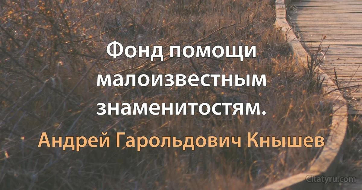 Фонд помощи малоизвестным знаменитостям. (Андрей Гарольдович Кнышев)