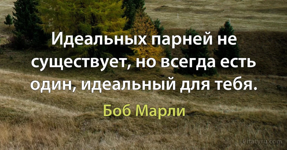 Идеальных парней не существует, но всегда есть один, идеальный для тебя. (Боб Марли)