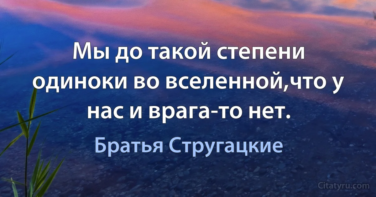 Мы до такой степени одиноки во вселенной,что у нас и врага-то нет. (Братья Стругацкие)