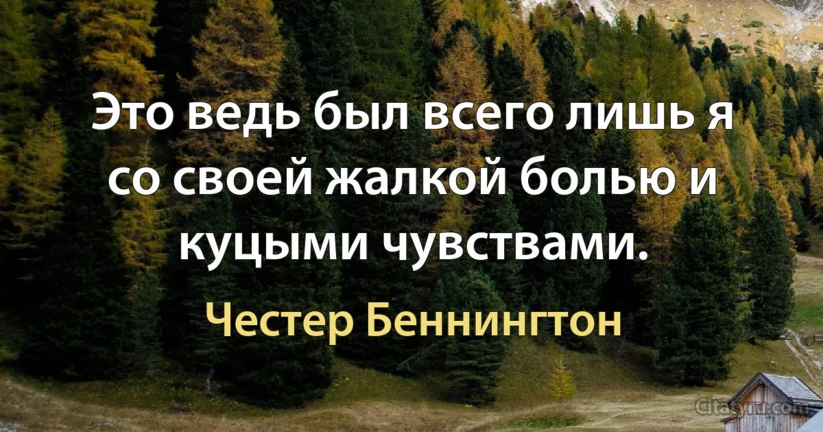 Это ведь был всего лишь я со своей жалкой болью и куцыми чувствами. (Честер Беннингтон)