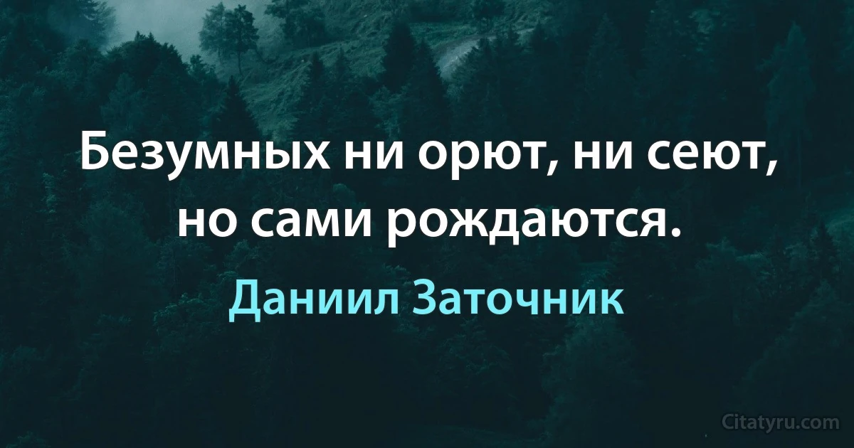 Безумных ни орют, ни сеют, но сами рождаются. (Даниил Заточник)