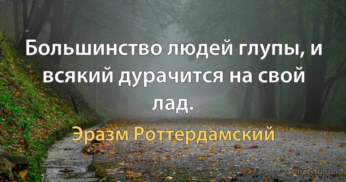 Большинство людей глупы, и всякий дурачится на свой лад. (Эразм Роттердамский)