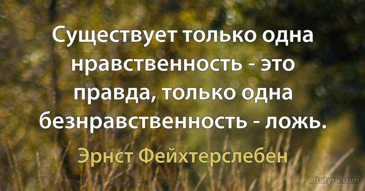 Существует только одна нравственность - это правда, только одна безнравственность - ложь. (Эрнст Фейхтерслебен)