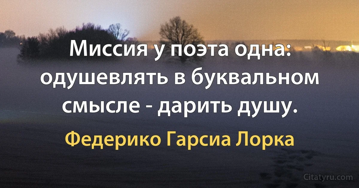 Миссия у поэта одна: одушевлять в буквальном смысле - дарить душу. (Федерико Гарсиа Лорка)