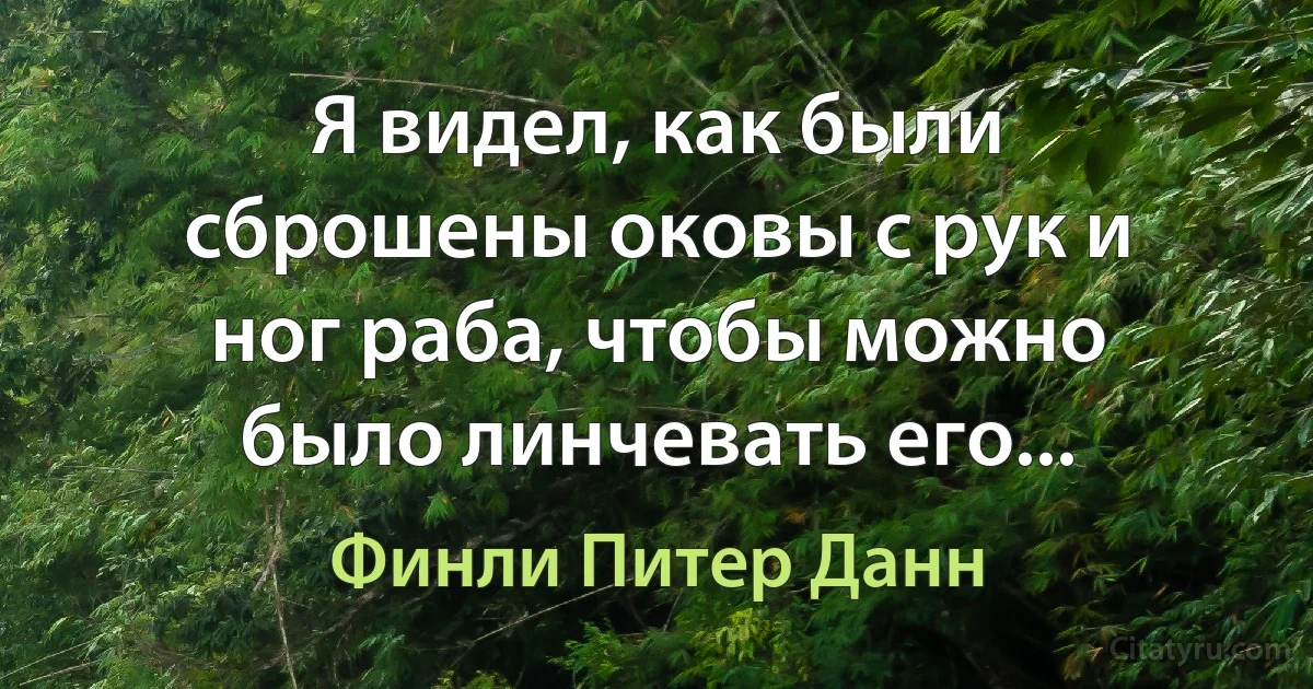 Я видел, как были сброшены оковы с рук и ног раба, чтобы можно было линчевать его... (Финли Питер Данн)