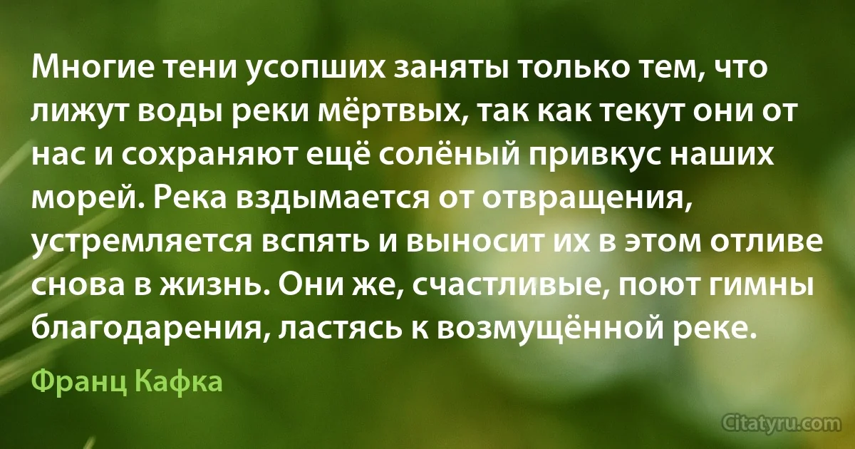 Многие тени усопших заняты только тем, что лижут воды реки мёртвых, так как текут они от нас и сохраняют ещё солёный привкус наших морей. Река вздымается от отвращения, устремляется вспять и выносит их в этом отливе снова в жизнь. Они же, счастливые, поют гимны благодарения, ластясь к возмущённой реке. (Франц Кафка)