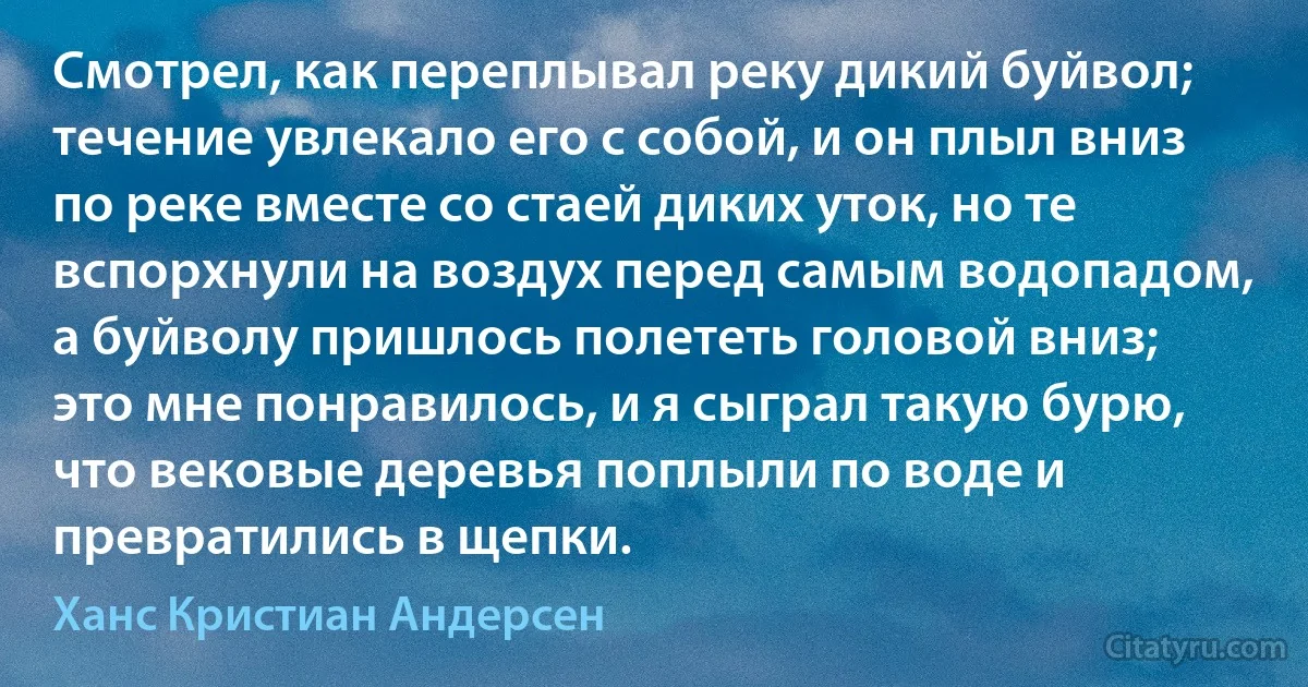 Смотрел, как переплывал реку дикий буйвол; течение увлекало его с собой, и он плыл вниз по реке вместе со стаей диких уток, но те вспорхнули на воздух перед самым водопадом, а буйволу пришлось полететь головой вниз; это мне понравилось, и я сыграл такую бурю, что вековые деревья поплыли по воде и превратились в щепки. (Ханс Кристиан Андерсен)