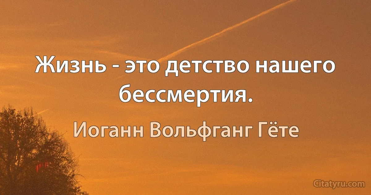 Жизнь - это детство нашего бессмертия. (Иоганн Вольфганг Гёте)