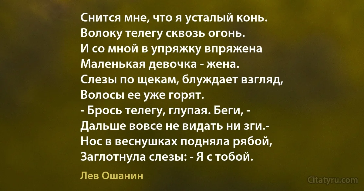 Снится мне, что я усталый конь.
Волоку телегу сквозь огонь.
И со мной в упряжку впряжена
Маленькая девочка - жена.
Слезы по щекам, блуждает взгляд,
Волосы ее уже горят.
- Брось телегу, глупая. Беги, -
Дальше вовсе не видать ни зги.-
Нос в веснушках подняла рябой,
Заглотнула слезы: - Я с тобой. (Лев Ошанин)