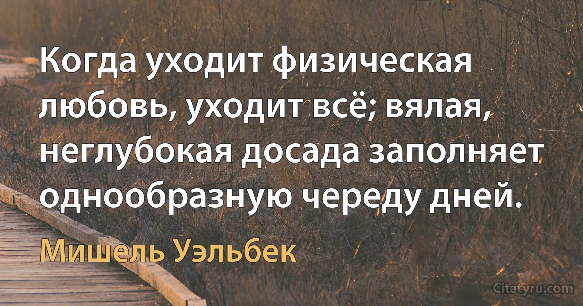 Когда уходит физическая любовь, уходит всё; вялая, неглубокая досада заполняет однообразную череду дней. (Мишель Уэльбек)