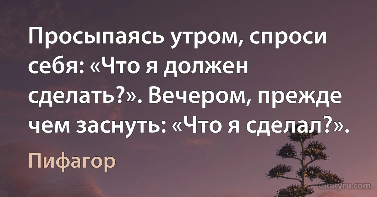 Просыпаясь утром, спроси себя: «Что я должен сделать?». Вечером, прежде чем заснуть: «Что я сделал?». (Пифагор)