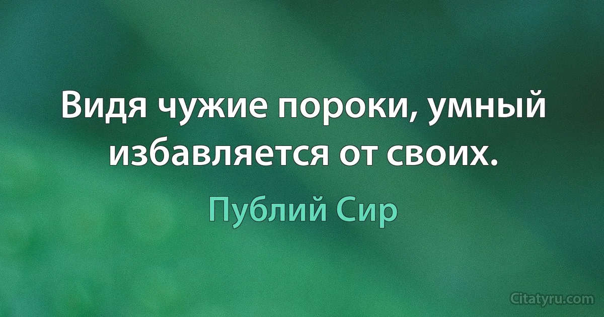 Видя чужие пороки, умный избавляется от своих. (Публий Сир)