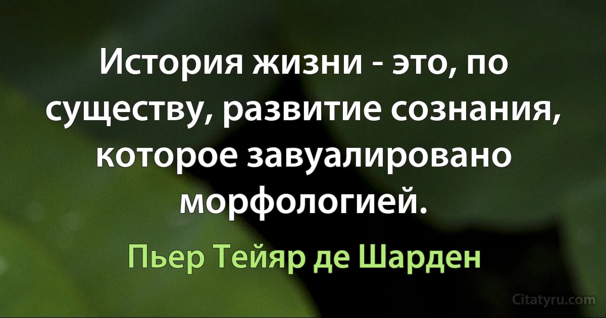 История жизни - это, по существу, развитие сознания, которое завуалировано морфологией. (Пьер Тейяр де Шарден)