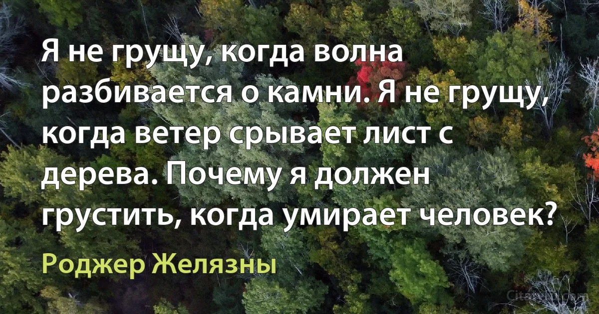 Я не грущу, когда волна разбивается о камни. Я не грущу, когда ветер срывает лист с дерева. Почему я должен грустить, когда умирает человек? (Роджер Желязны)