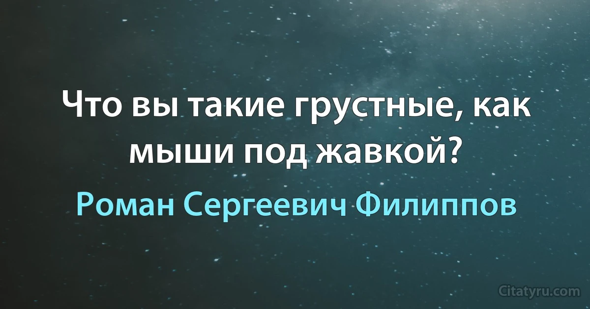 Что вы такие грустные, как мыши под жавкой? (Роман Сергеевич Филиппов)