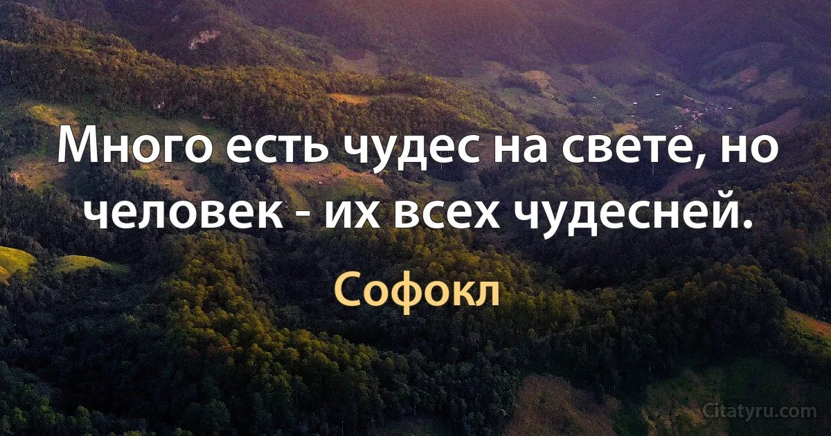 Много есть чудес на свете, но человек - их всех чудесней. (Софокл)