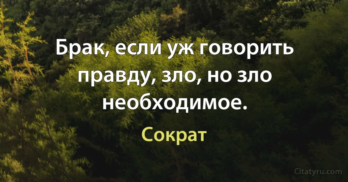 Брак, если уж говорить правду, зло, но зло необходимое. (Сократ)