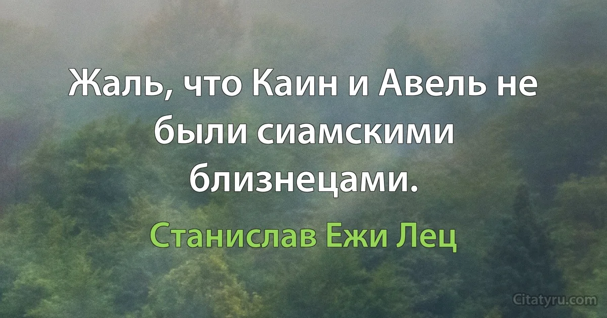 Жаль, что Каин и Авель не были сиамскими близнецами. (Станислав Ежи Лец)