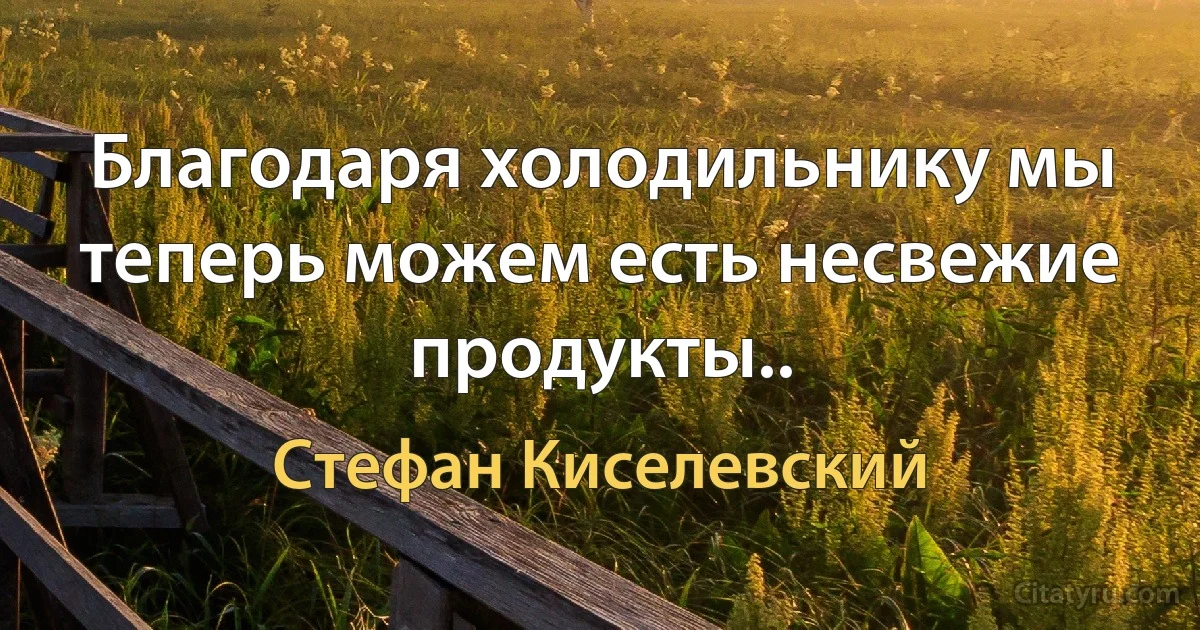 Благодаря холодильнику мы теперь можем есть несвежие продукты.. (Стефан Киселевский)