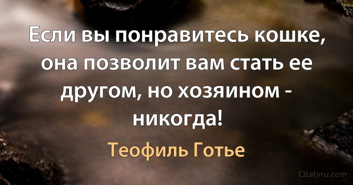 Если вы понравитесь кошке, она позволит вам стать ее другом, но хозяином - никогда! (Теофиль Готье)