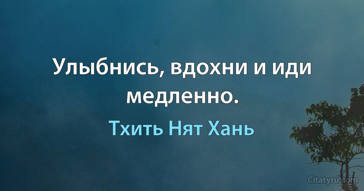 Улыбнись, вдохни и иди медленно. (Тхить Нят Хань)