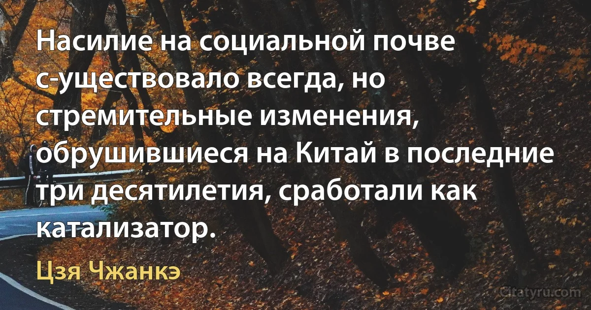 Насилие на социальной почве с­уществовало всегда, но стремительные изменения, обрушившиеся на Китай в последние три десятилетия, сработали как катализатор. (Цзя Чжанкэ)