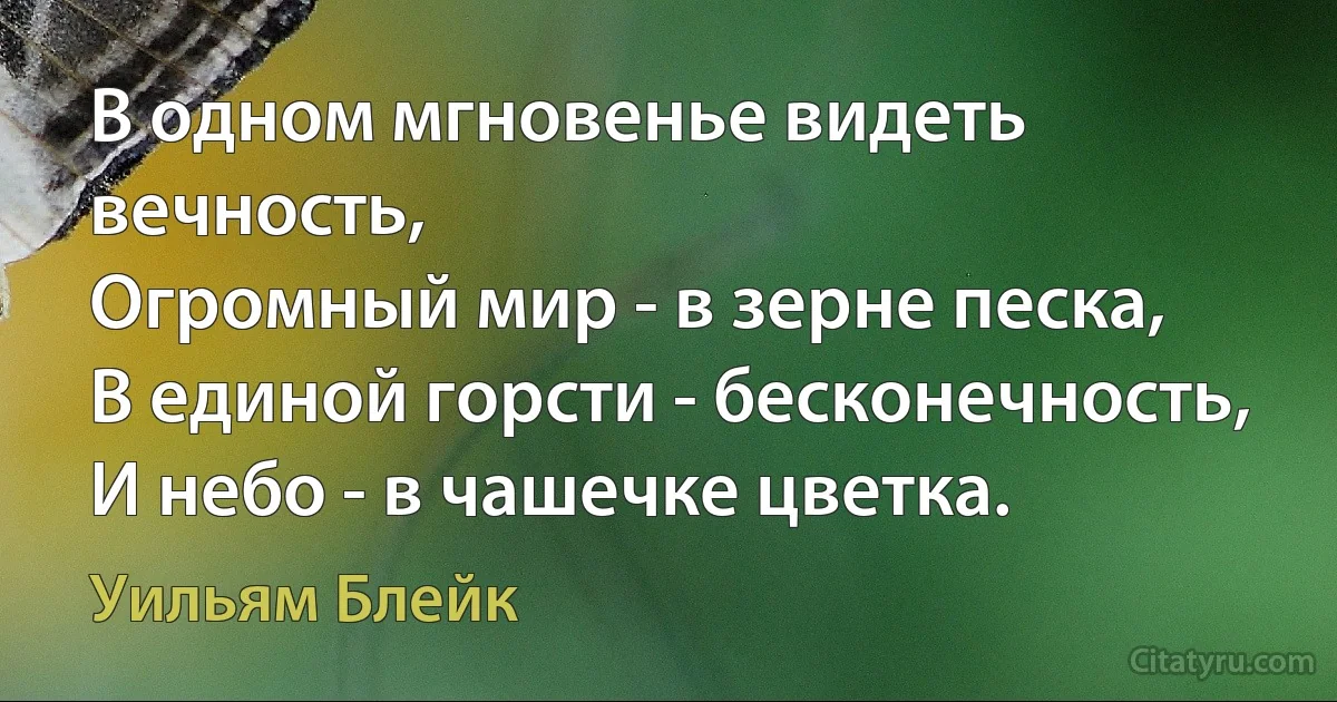 В одном мгновенье видеть вечность,
Огромный мир - в зерне песка,
В единой горсти - бесконечность,
И небо - в чашечке цветка. (Уильям Блейк)