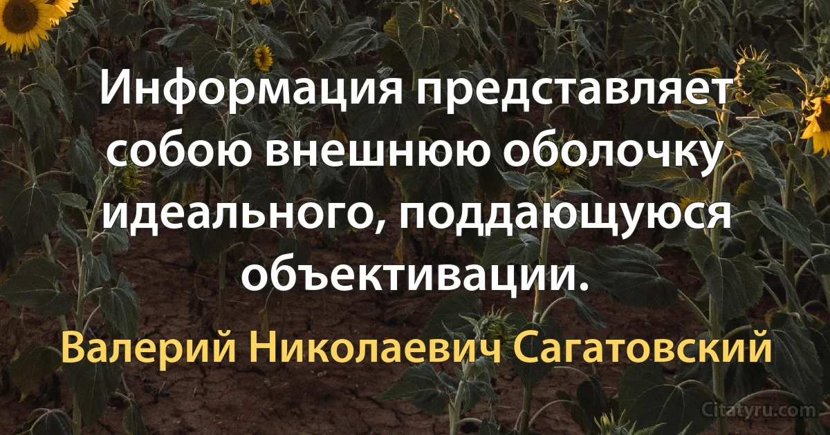 Информация представляет собою внешнюю оболочку идеального, поддающуюся объективации. (Валерий Николаевич Сагатовский)