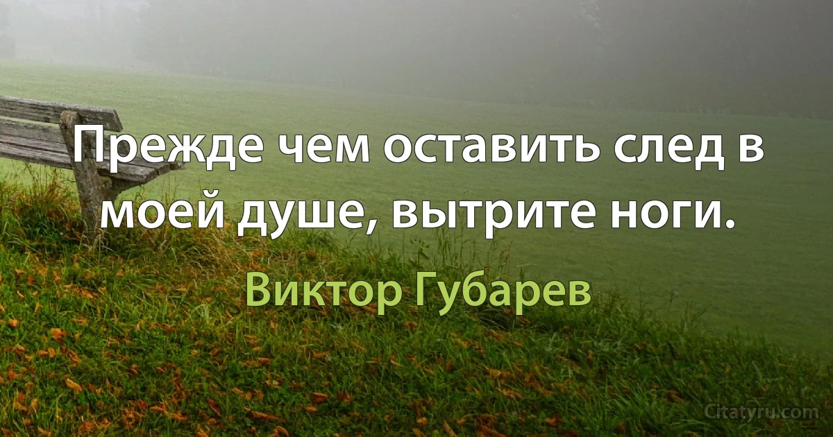 Прежде чем оставить след в моей душе, вытрите ноги. (Виктор Губарев)