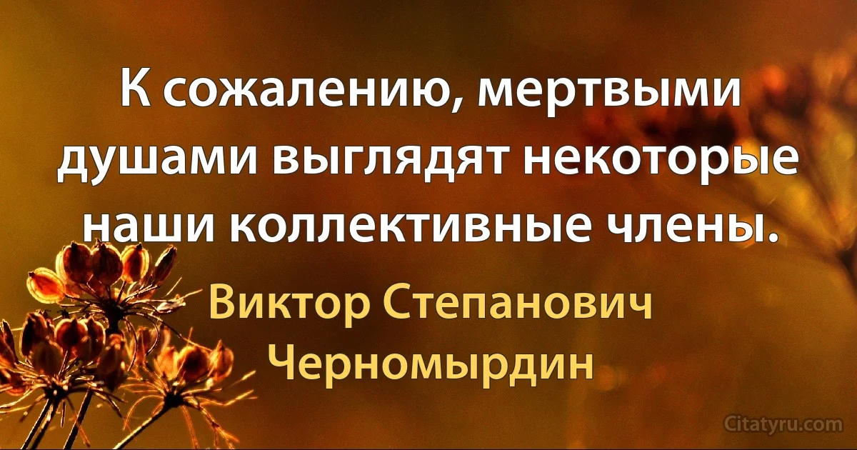 К сожалению, мертвыми душами выглядят некоторые наши коллективные члены. (Виктор Степанович Черномырдин)